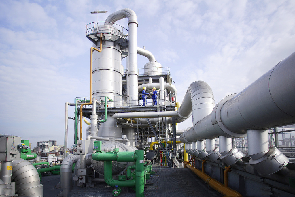 ���Ȼ�����ϩ����������